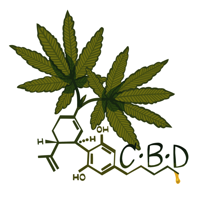 cannabis, cbd, hemp-7165692.jpg